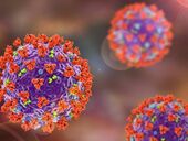 Новый коронавирус "Дженни" уже в Украине. Есть случаи заражения в пяти областях