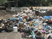 Мухи, свалки, джаз