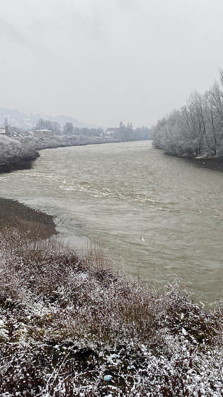 Двое одесситов хотели переплыть Тису на надувных кругах