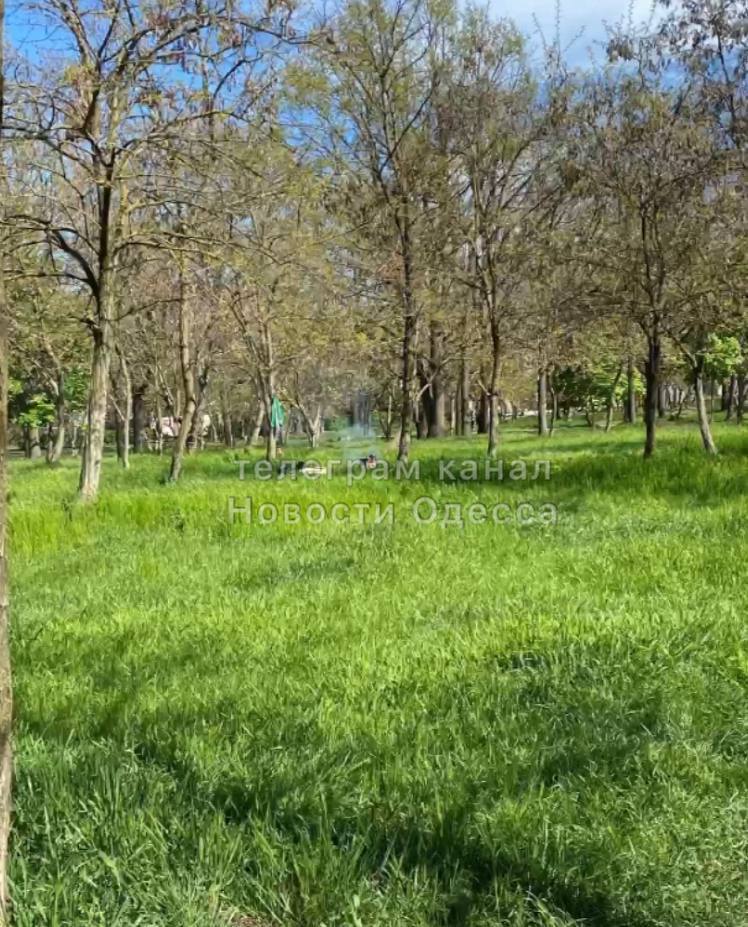 Одесситы на шашлыках