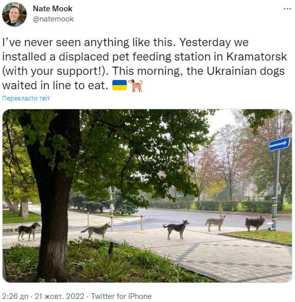 Скриншот из Твиттера Нейта Мука