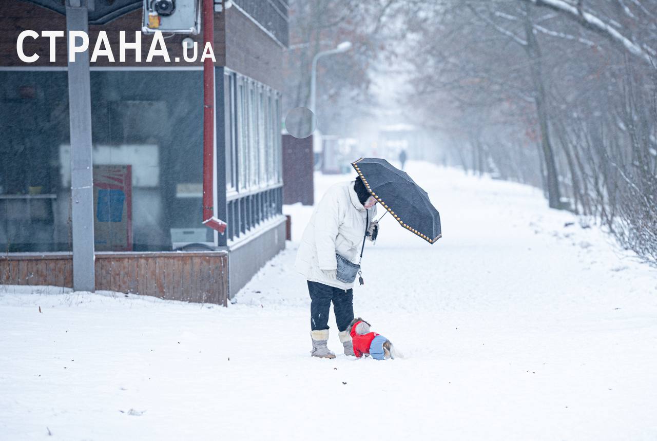 Заснеженный Киев