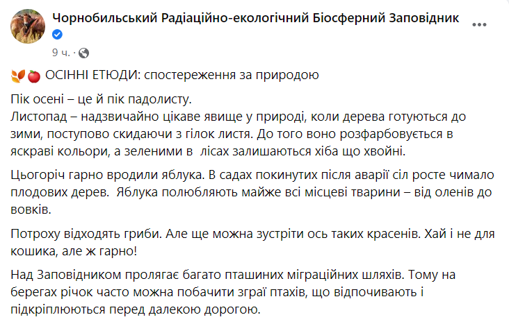 В Чернобыльском заповеднике пик осени