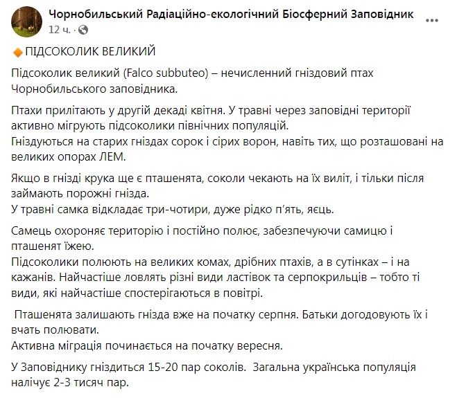 Скриншот из Фейсбука Чернобыльского заповедника