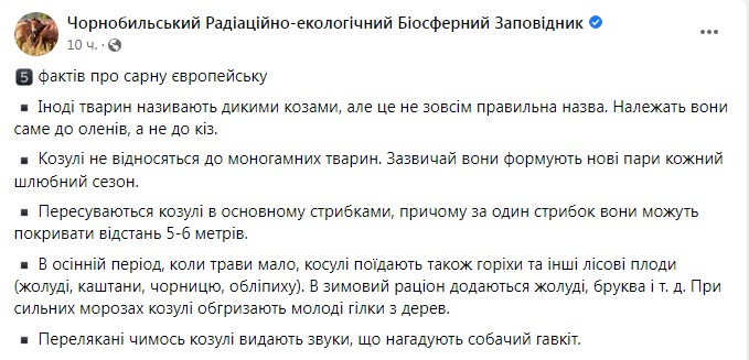 Скриншот из Фейсбука Чернобыльского заповедника