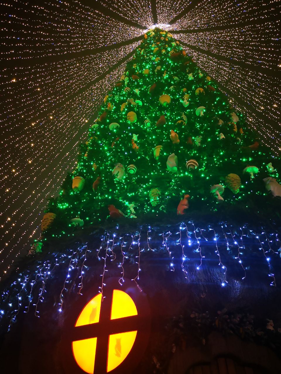 новогодняя елка на Софийской площади