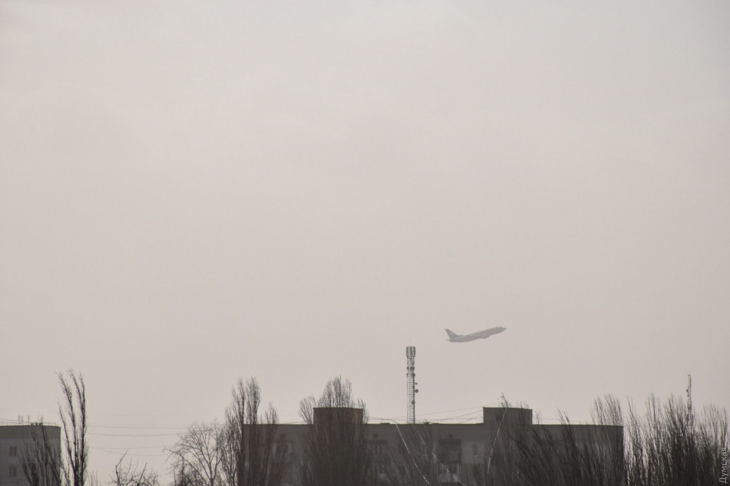 Фото: dumskaya.net