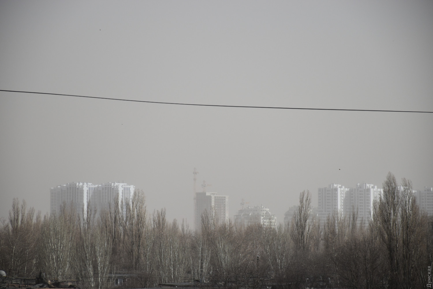 Фото: dumskaya.net