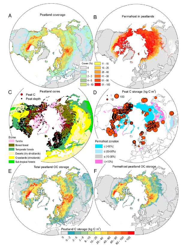 Фото: Proceedings of&nbsp;the National Academy of&nbsp;Sciences